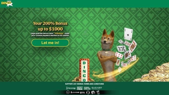 casino-dingo screenshot
