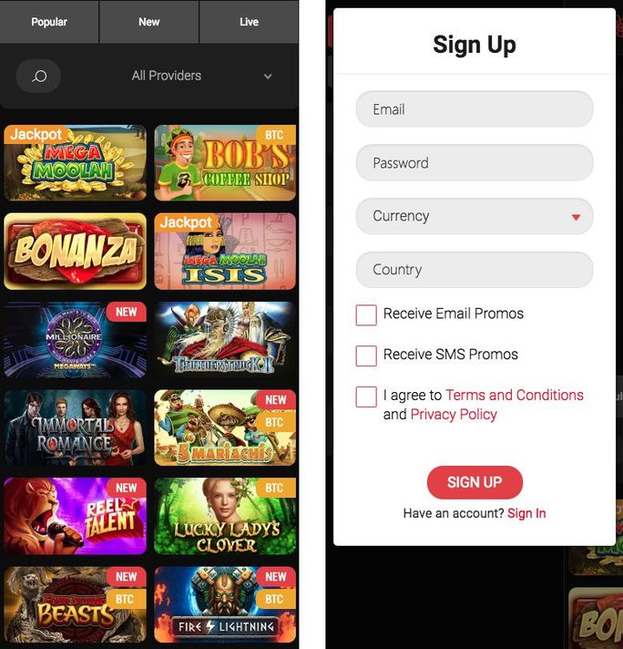 casinochan screenshot