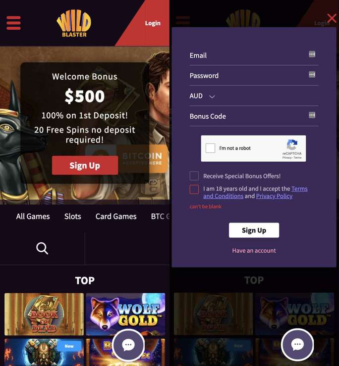 wildblaster-casino screenshot