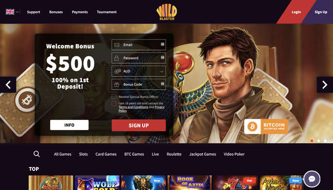 wildblaster-casino screenshot