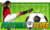 Football Fever Logo