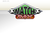 Match Day Logo